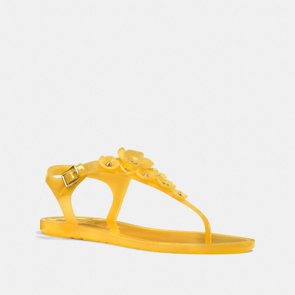 TEA ROSE MULTI JELLY SANDAL - FG2070 - CANARY