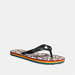 ROLLER BOTTOM FLIP FLOP WITH WILD BEAST LOVE PRINT - COACH fg2185 - Black/Light Pink