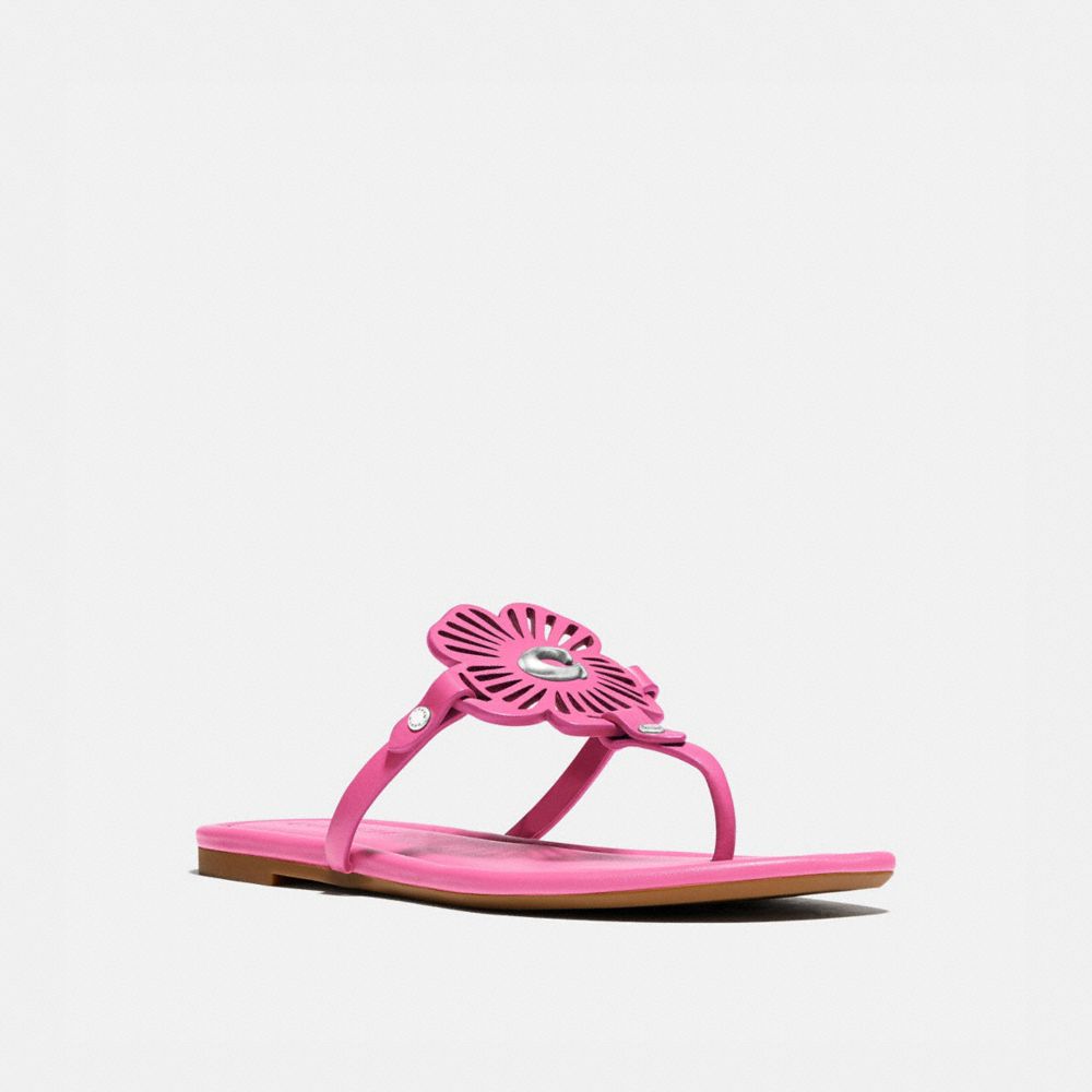 JULIA SANDAL - PETUNIA - COACH G5058