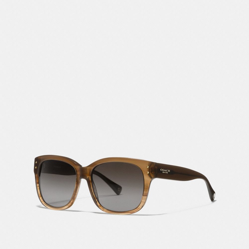 COACH L074 Sienna Sunglasses BROWN HORN