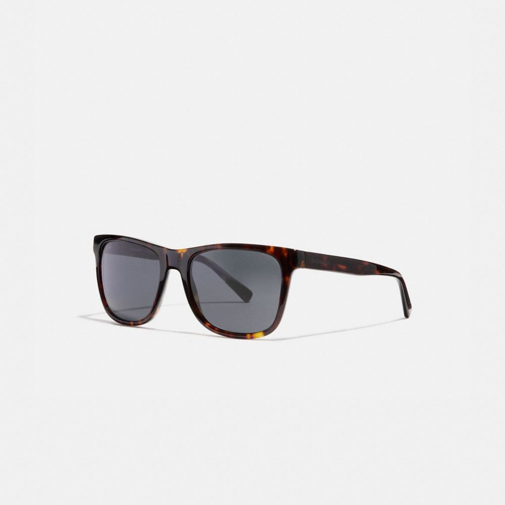 LEROY SUNGLASSES - COACH l1035 - DARK TORTOISE