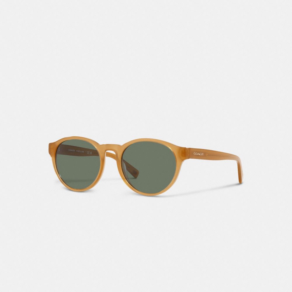 COACH L1095 Wythe Round Sunglasses TRANSPARENT AMBER