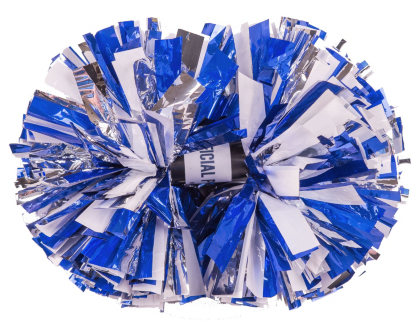 Dallas Cowboys Cheerleader PomPoms Cheerleaders Dallas Cowboys Pro
