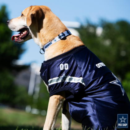 cowboys dog jersey