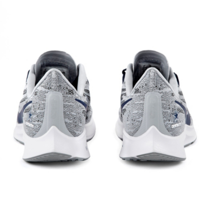 dallas cowboys pegasus