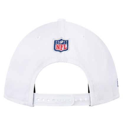 dallas cowboys thanksgiving hat