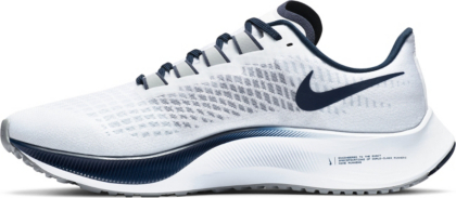 dallas cowboys nike pegasus