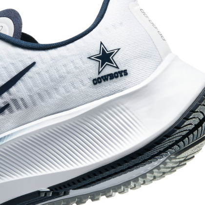 dallas cowboys pegasus