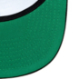 BHM Flat Bill Hat
