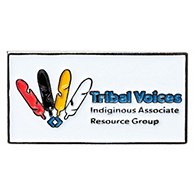 Tribal Voices Pin
