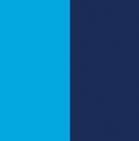 COBALT/ NAVY