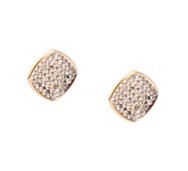 Curved Square Stud Earrings