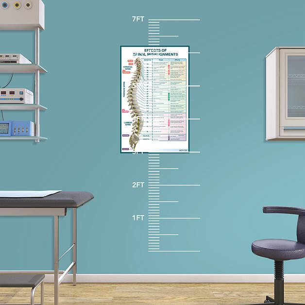 decals medical fathead health office doctor dental charts