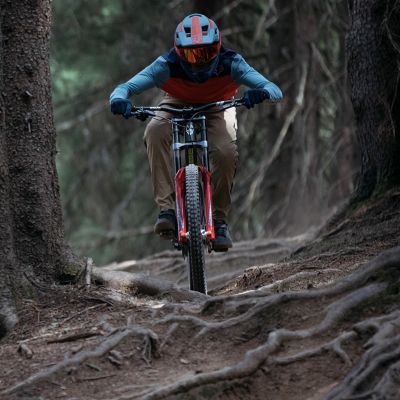 foxrace mountain bike