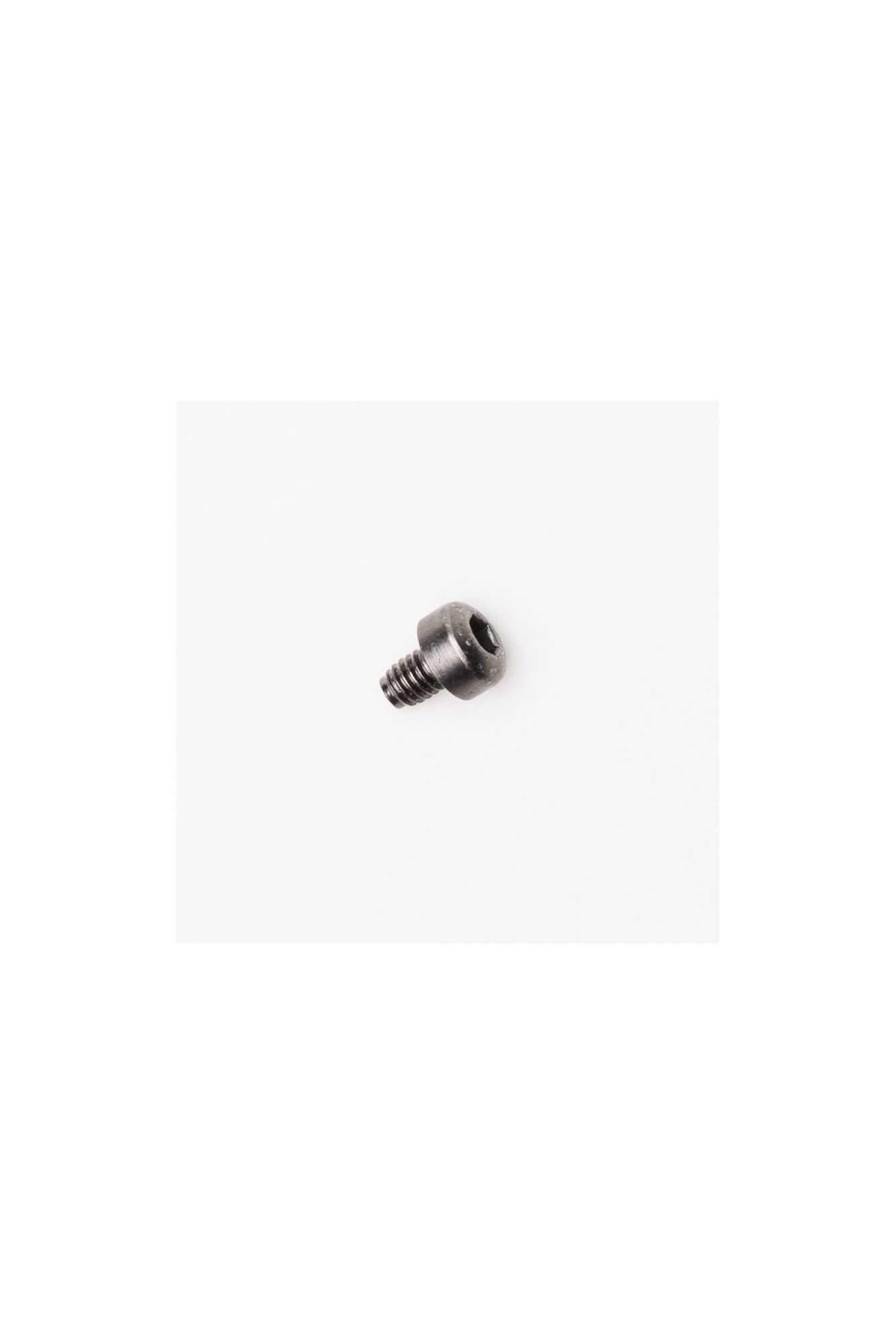 BUCKLE SCREWS [NC] NS