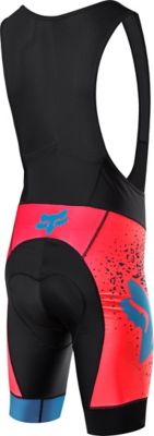 Ascent Comp Bib