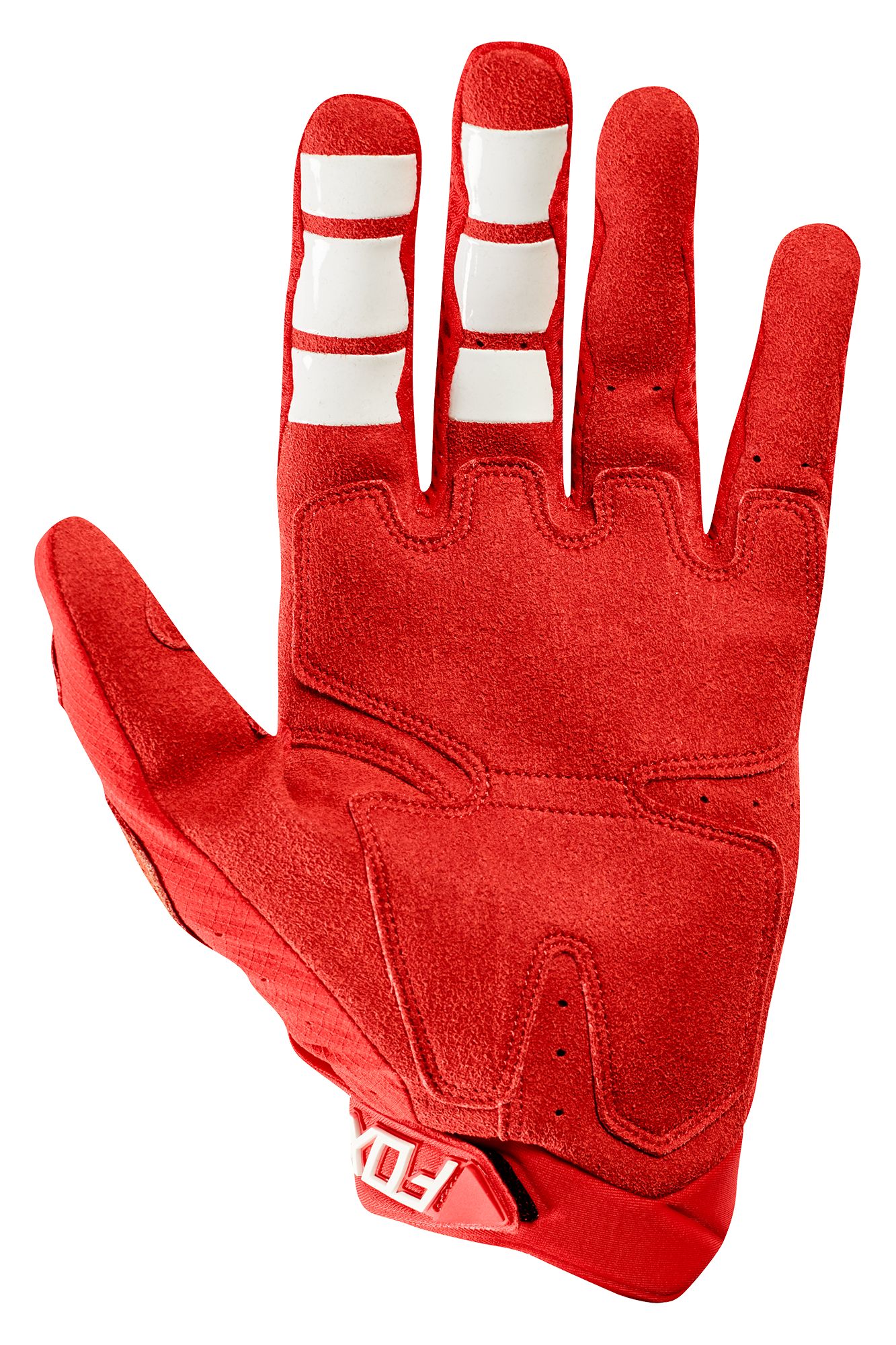 PAWTECTOR GLOVE [RD] XL