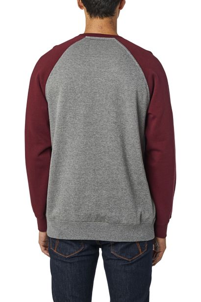 APEX CREW FLEECE [GRY/RD] S