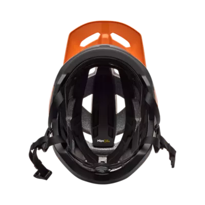 SPEEDFRAME PRO BACKFADE 