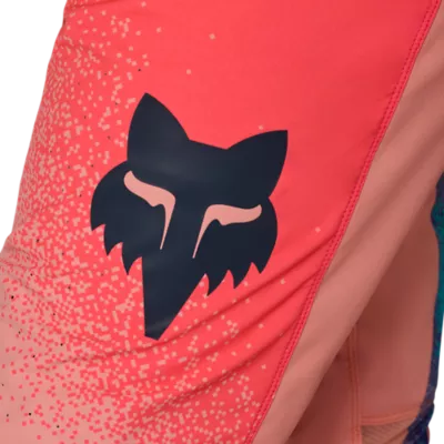 FLEXAIR VISION LE PANT 