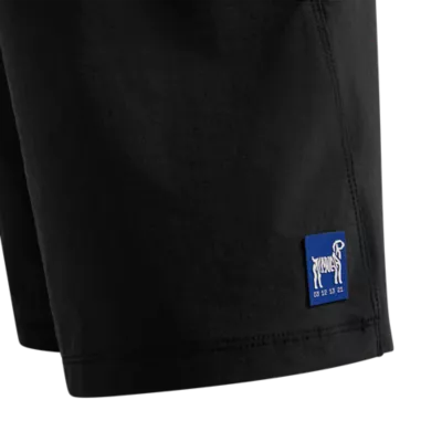 FLEXAIR SHORT GM DTC 
