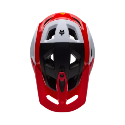 SPEEDFRAME RS PARANOID DTC 