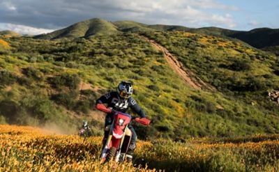 Two dirt bikers riding in the poppy-filled hills of Southern California