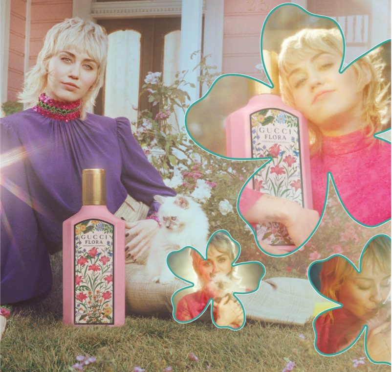Miley Cyrus sits on a front lawn with flower bushes and is surrounded by a poodle, Persian kittens and oversized fragrance bottle.