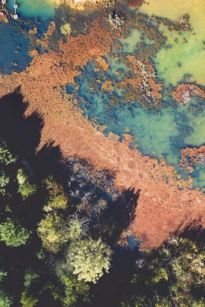 Environmental Commitment