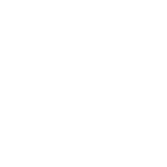 Bully Logo that looks like a CD disc