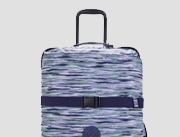 Sale Luggage