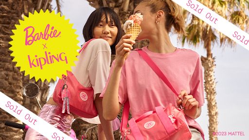 Kipling best sale fun bag