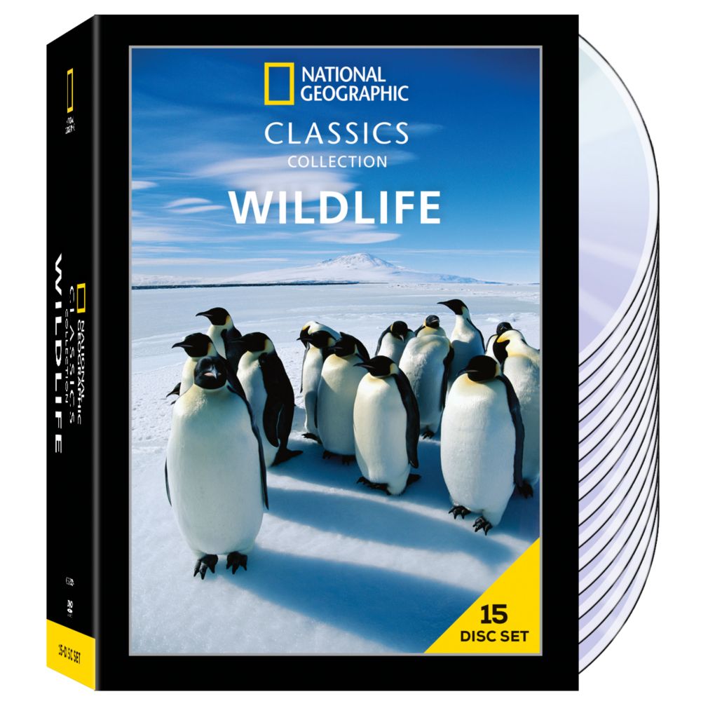 National Geographic Little Kids Magazine U.S. Delivery - National ...
