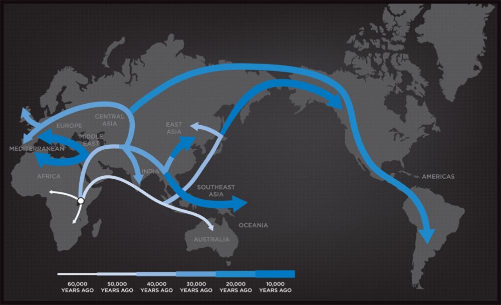 Geno 2.0 Next Generation Genographic DNA Ancestry Kit, International Delivery