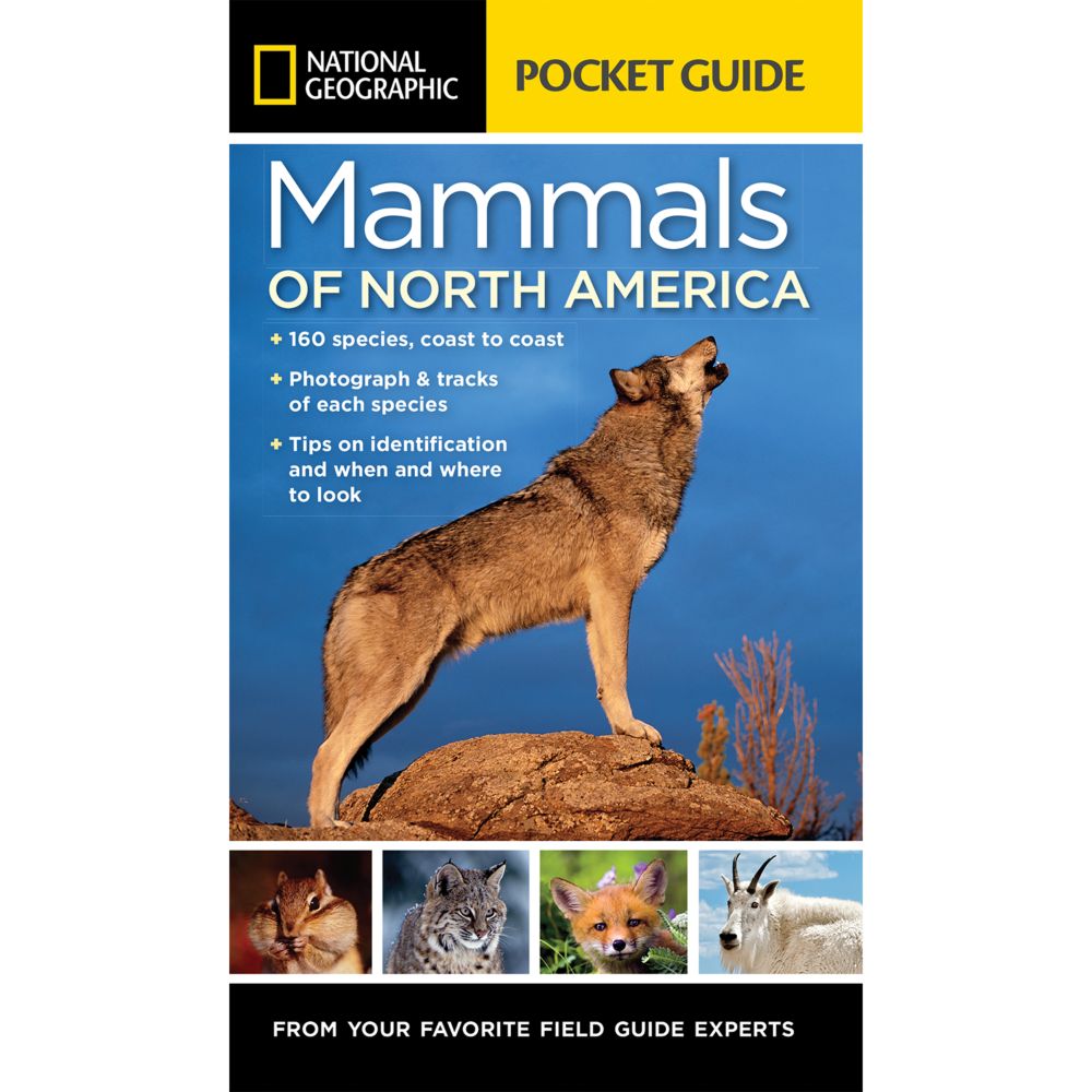 Animal Nature Books Wildlife Environment National