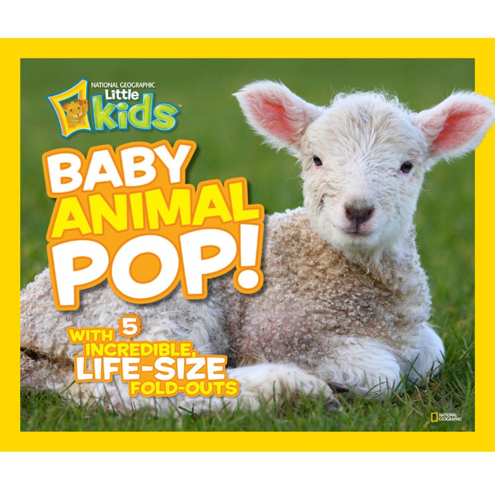 Baby Animal Pop Book Review - A Mom's Take