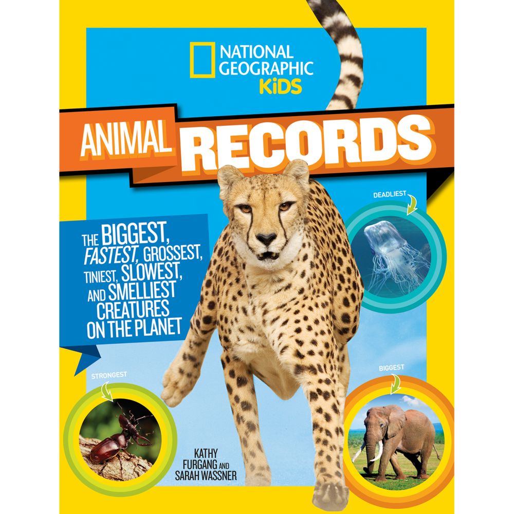 Resultado de imagen de records of animals for kids