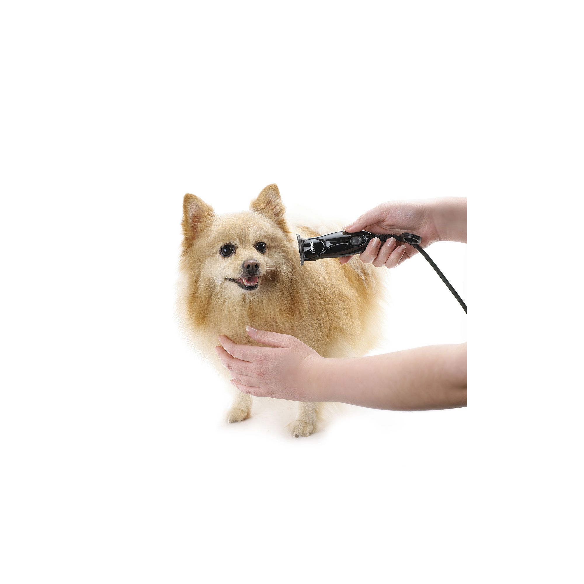 Oster animal outlet care pro trimmer