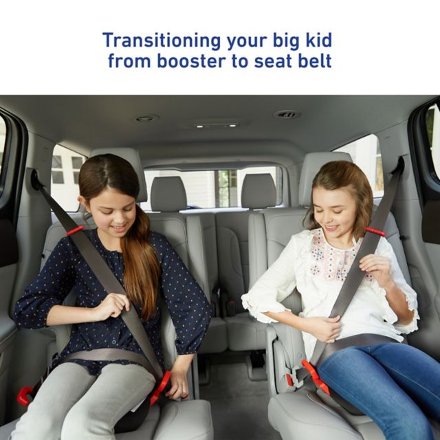 RightGuide™ Portable Seat Belt Trainer™ | gracobaby.com