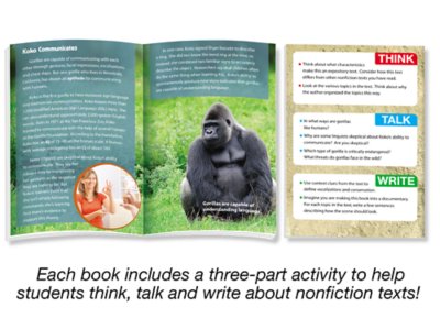 Think, Talk, Write Nonfiction Reading Center - Gr. 4 at Lakeshore Learning