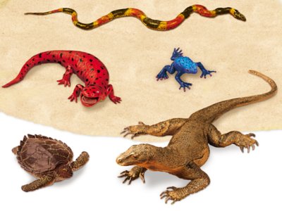 Reptiles & Amphibians - Set of 5 at Lakeshore Learning
