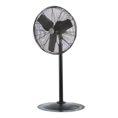 Check out the Standing Fan for rent