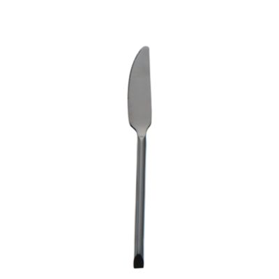 Check out the Vanderbilt Black Salad Knife for rent