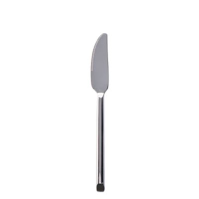 Check out the Vanderbilt Stainless Salad Knife for rent
