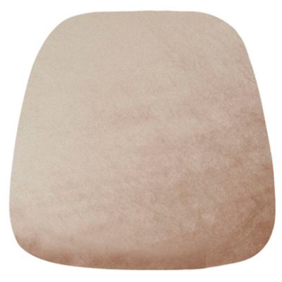 Check out the Velvet Cushion Champagne for rent