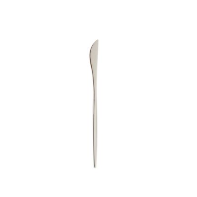 Check out the Ellis Stainless Salad Knife for rent