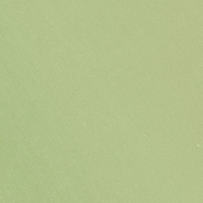 Check out the Apple Green Bengaline Dinner Napkin for rent