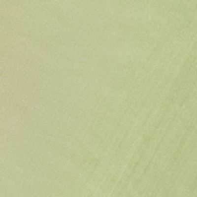 Check out the Celery Bengaline Dinner Napkin for rent