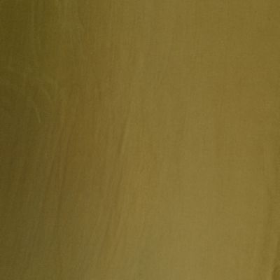Check out the Fern Bengaline Dinner Napkin for rent