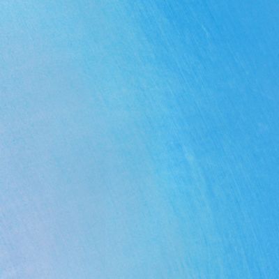 Check out the Robin Blue Bengaline Dinner Napkin for rent